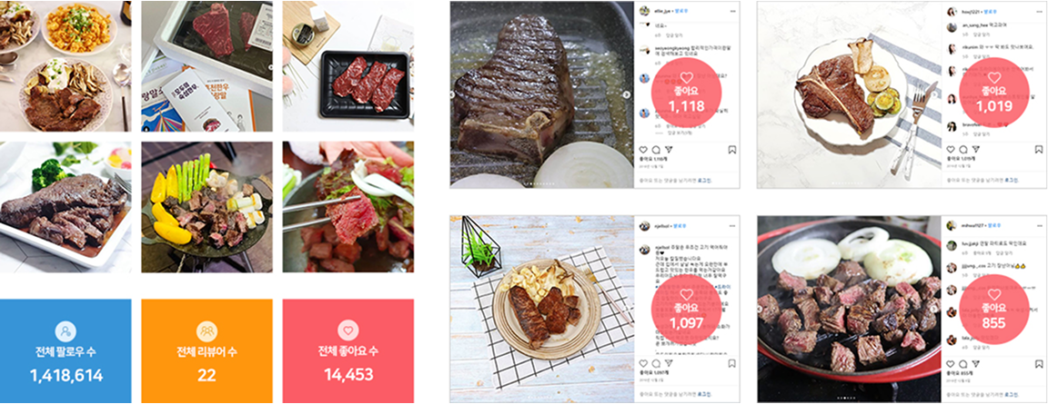 브랜드의 인스타그램 체험단 진행 사례