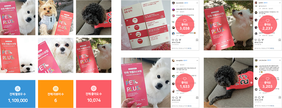 브랜드의 인스타그램 체험단 진행 사례