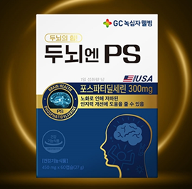 두뇌엔 PS